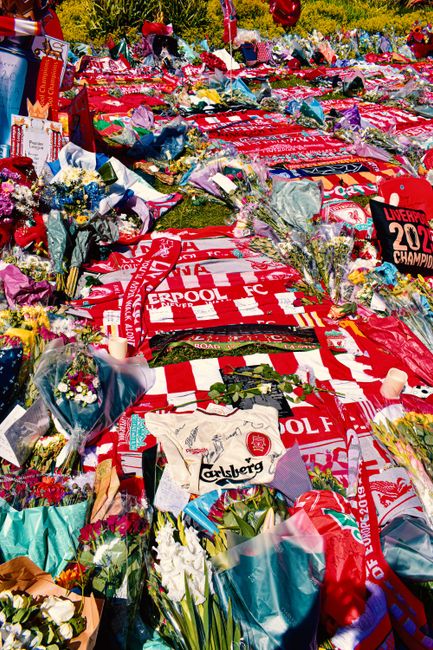 A memorial site with numerous floral tributes and bouquets arranged on the ground, predominantly featuring red and white colors. The flowers include roses, lilies, and daisies, wrapped in colorful pap