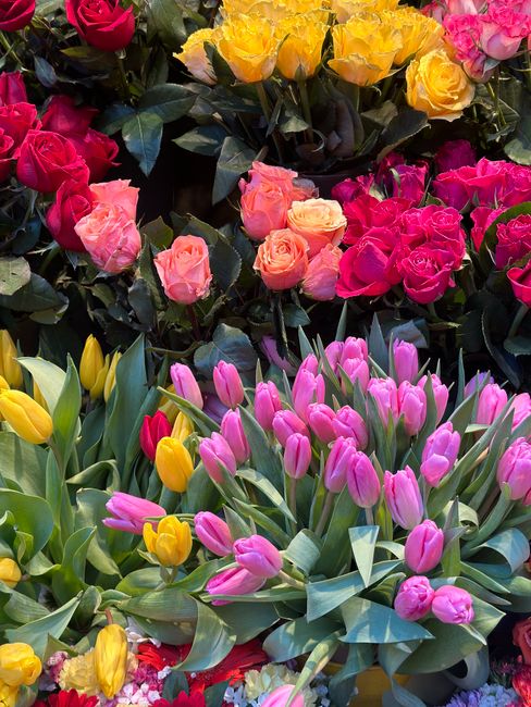 A vibrant display of fresh flowers featuring pink and yellow tulips with smooth petals and long green stems, alongside roses in shades of pink and yellow with tightly formed blooms and glossy leaves.